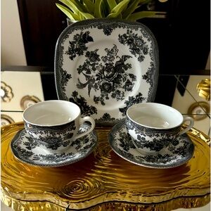 Johnson broty Asiatic Pheasant Black Flat Cup Plate Set of 5 discontinued piece